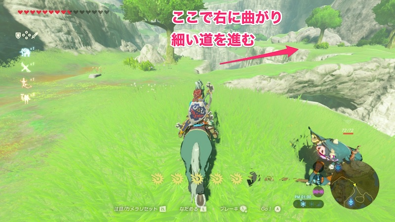 ハテノ塔への道中