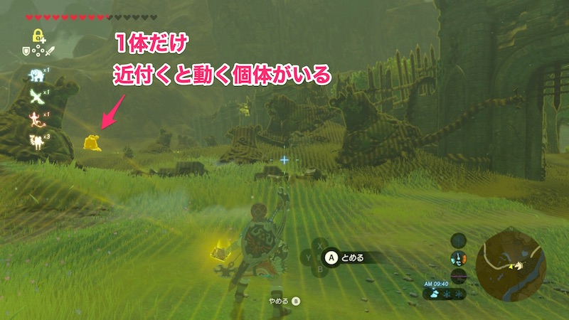 ハテノ砦のガーディアン