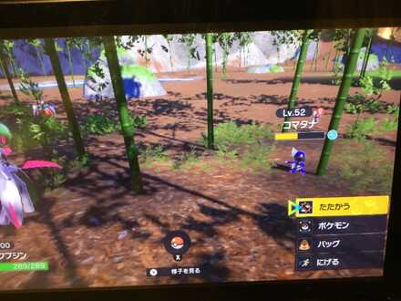 コメント画像