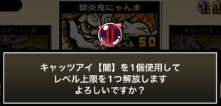 超激レアレベル上限解放