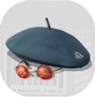 アナアキバスクベレー画像