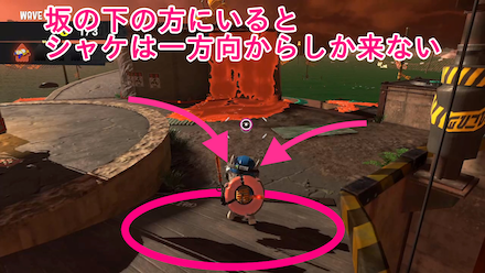 アラマキ砦のヒカリバエ