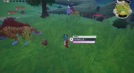 しゃがんだ状態でAボタン長押しでかすめとる