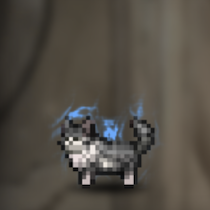 猫(白灰)