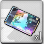 高級募集チケット