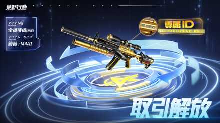 専属ID番号版銃器に変換できるシステム