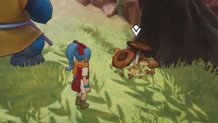 キノコの見た目