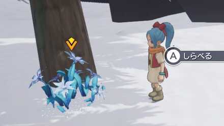 青い花の見た目