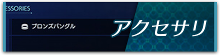 アクセサリ
