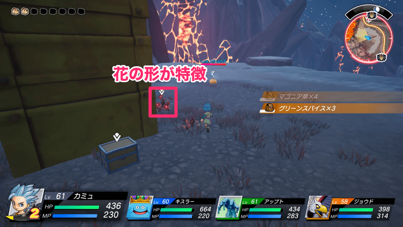 ピリからペッパーの入手場所詳細