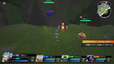 トンブレジュエル画像