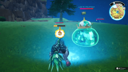 ビーナリア段丘のキングエメラルドの場所