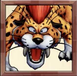 キラーパンサー系画像