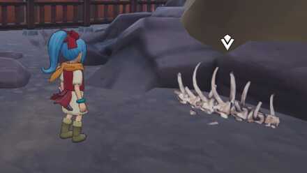 アッパーボーンの入手場所詳細