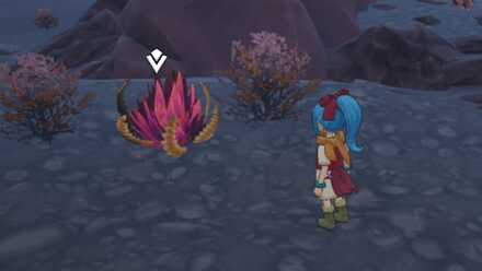 みかわしそうの入手場所詳細