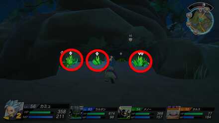 背丈の高い草の見た目