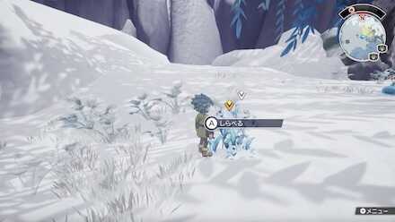 レッドベリー見た目