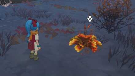 まんまるポテトの入手場所詳細