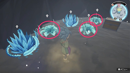 しゃっきりレタス見た目