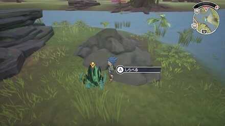 ライスフラワー見た目