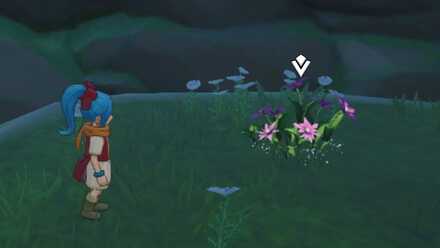 かがやきの樹液の入手場所詳細