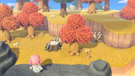 レア島に行ける可能性が高い