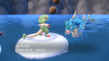 オージャの湖レベリング