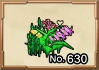 メモリアルリーフのハーブ