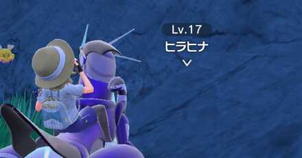 壁の中のヒラヒナ