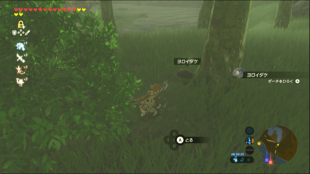 ヨロイダケの入手場所