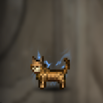 猫(赤茶)