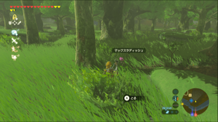 マックスラディッシュの入手場所