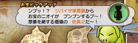 プリンセスローブ画像