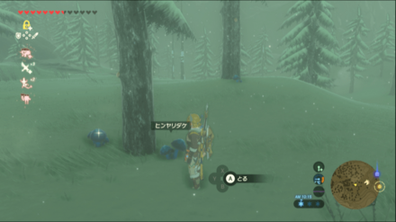 ヒンヤリダケの入手場所