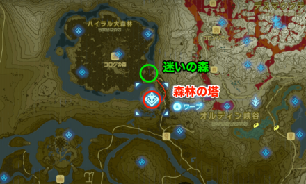 コログの森行き方