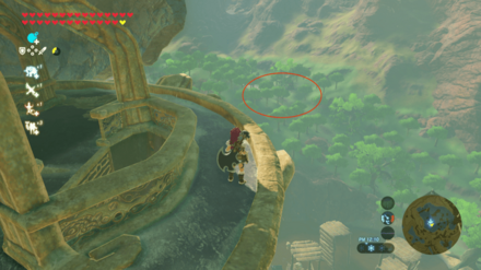 迷いの森行き方