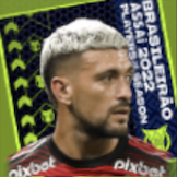 TPジョルジアンデアラスカエタ(指名契約)画像