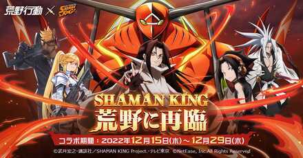 シャーマンキング2