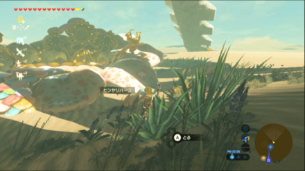 ゲルド地方大妖精の泉のヒンヤリハーブ