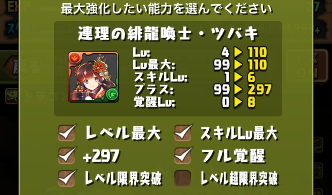 最大強化やり方②