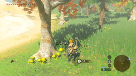 ビリビリダケの入手場所