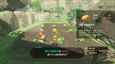 ヨロイカボチャの入手場所