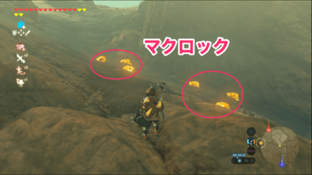 コハクの入手場所1