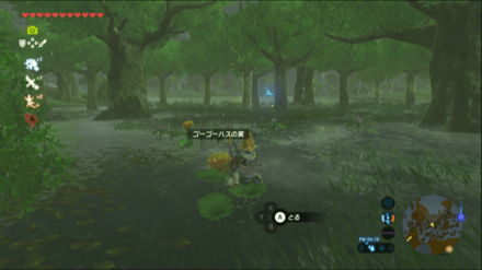 ゴーゴーハスの実の場所