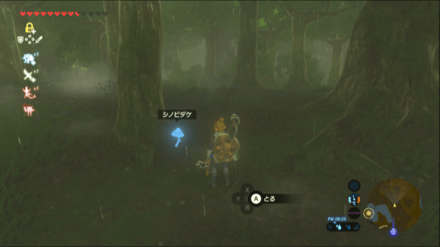 シノビダケの場所