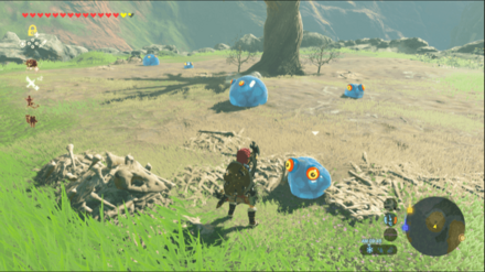 チュチュの出現場所