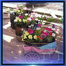 ミッドガル、ワゴンでいっぱい！画像