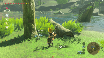 サトリ山西のルチル湖の姫しずか