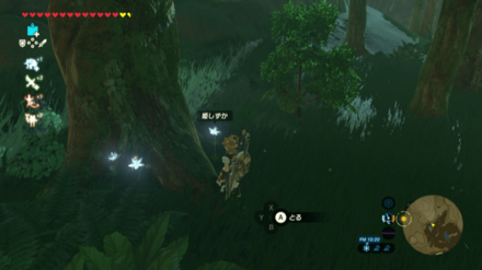 発光している姫しずか