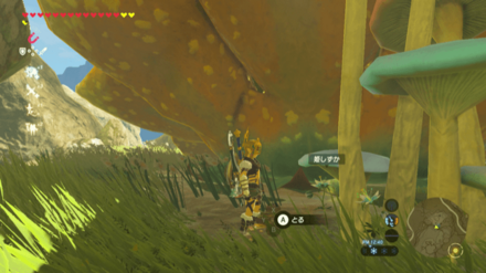 タバンタ地方の大妖精の泉の姫しずか